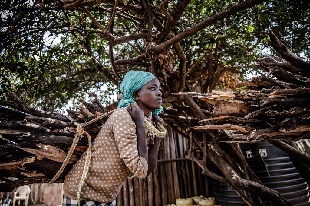 A woman carrying firewood in Laikipia county, Kenya. Image © FAO/Luis Tato. 