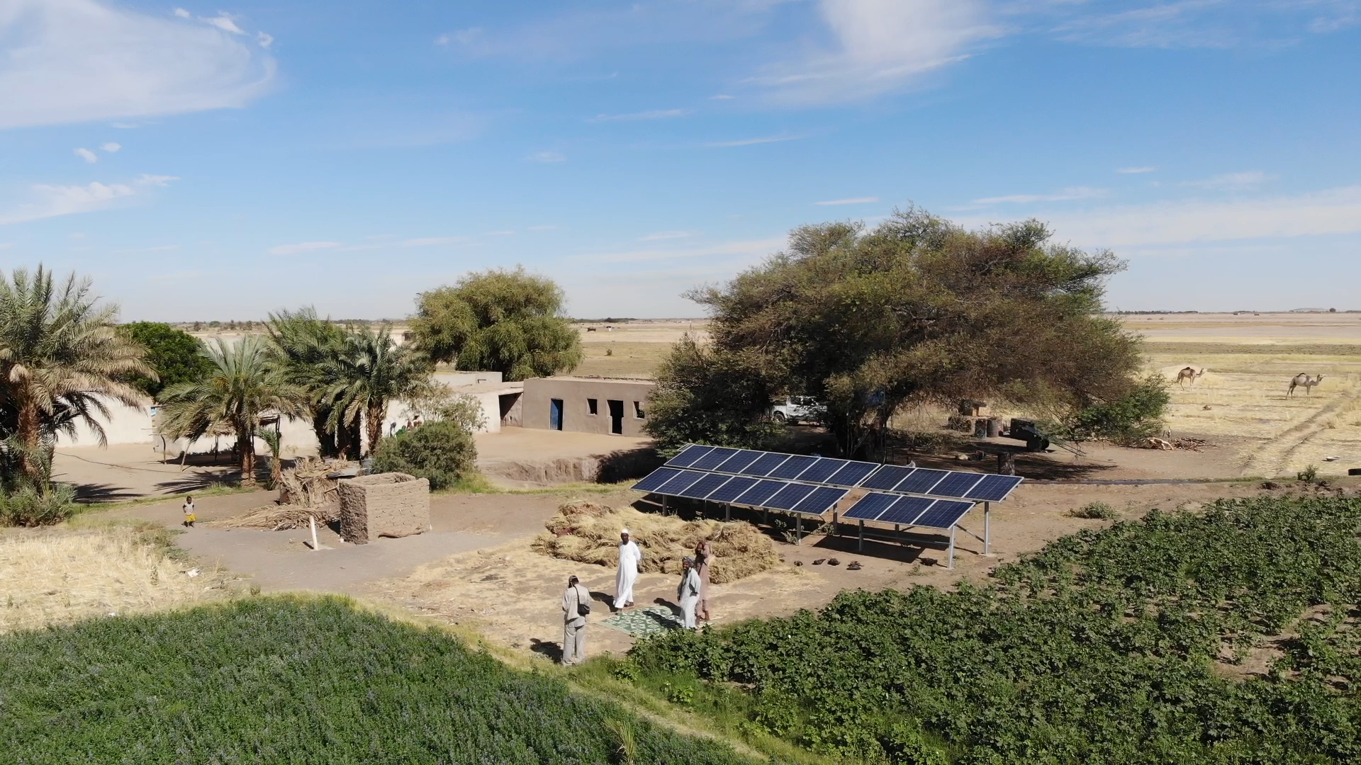 Solar panels power pumps in Sudan. Image © UNDP Sudan/Muhanad Sameer via Flickr.