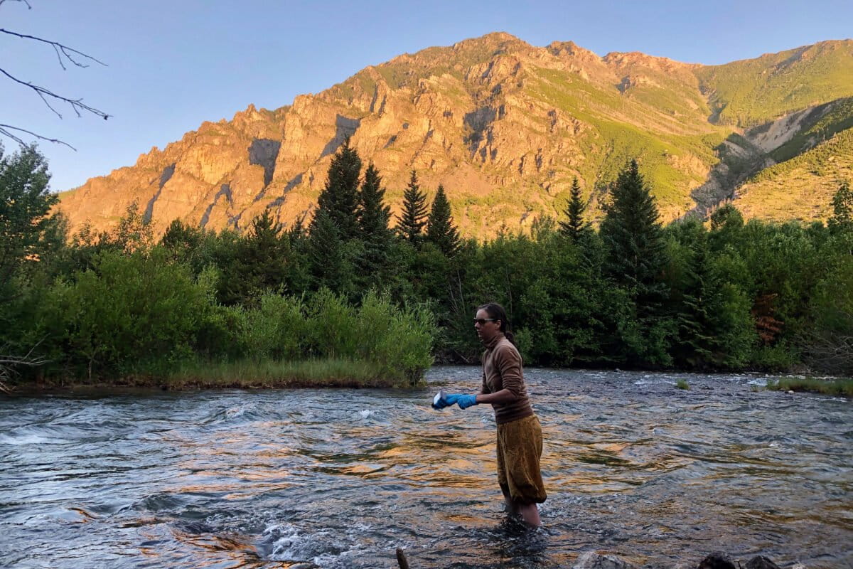 Jenélle Dowling collecting water quality readings from East Rosebud Creek in Montana for the Wild and Scenic Rivers Project in August 2020. Photo by Cedar Mathers-Winn