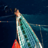 Fishing boats with nets, Grenada, Caribbean Credit: Hugh Whyte / Ocean Image Bank.