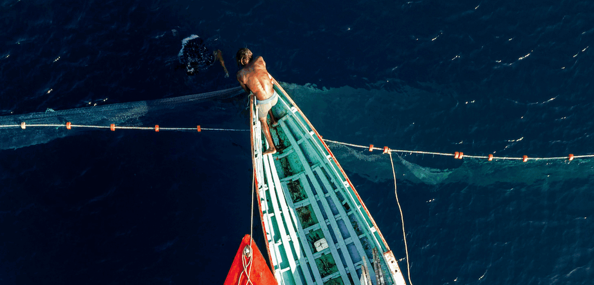 Embrace ‘blue’ foods as a climate strategy at COP30, fisheries ministers say (commentary)