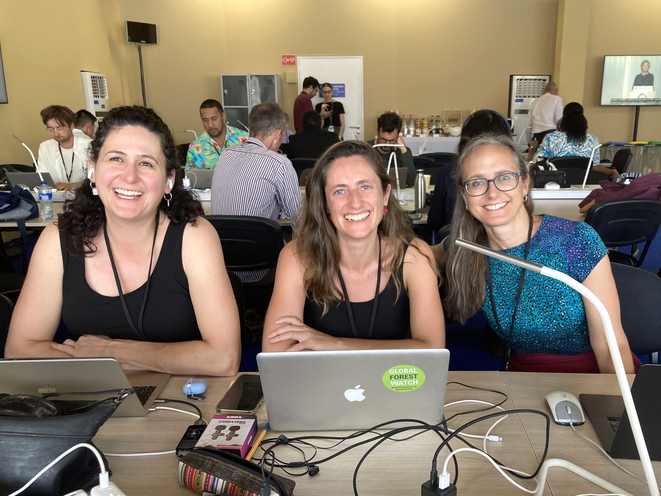 Mongabay launches dedicated Oceans Desk to expand global reporting on marine ecosystems – Mongabay