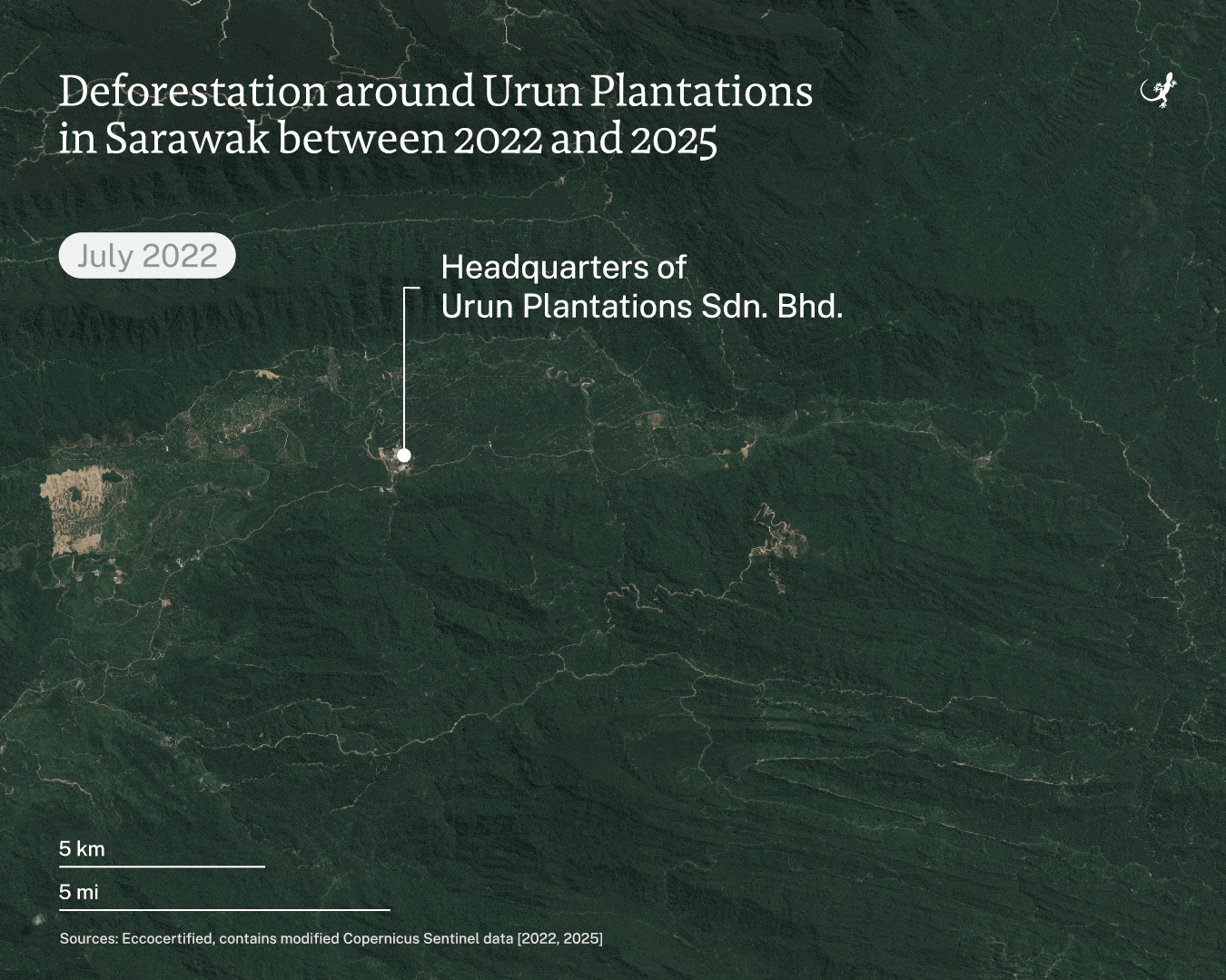 Cautious win for Indigenous groups in Malaysia as palm oil firm pauses forest clearing - South ...