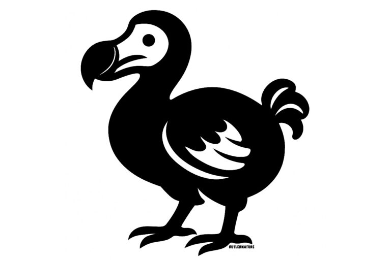 Dodo bird icon.