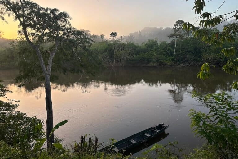 Tropical forest and river in Suriname. Image courtesy of Mark J. Plotkin.