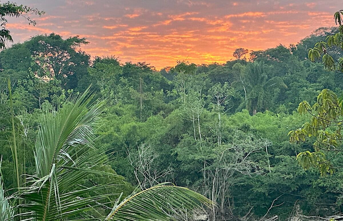 Top ethnobotanist Mark Plotkin’s COP30 reflections on Amazon conservation (analysis)