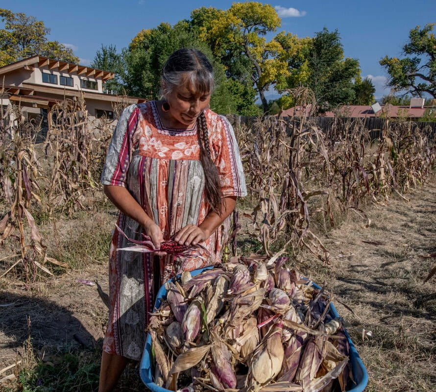 From waffle gardens to terraces, Indigenous groups revive farming heritage in America’s deserts