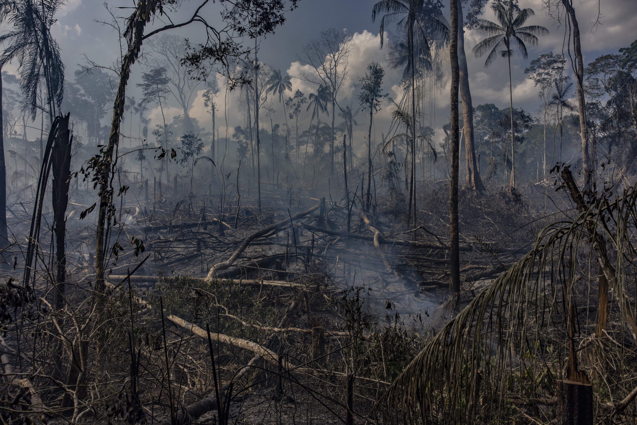 CV_Black_Carbon_Brazil_EDITORIAL_01 (1)