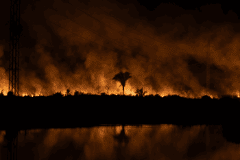 A forest fire in Acre, the westernmost state of the Brazilian Amazon. Image courtesy of Victor Moriyama/Clean Air Fund.