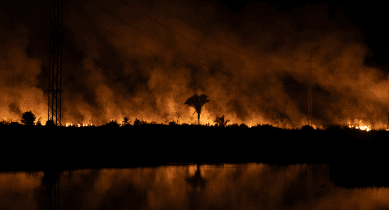 A forest fire in Acre, the westernmost state of the Brazilian Amazon. Image courtesy of Victor Moriyama/Clean Air Fund.