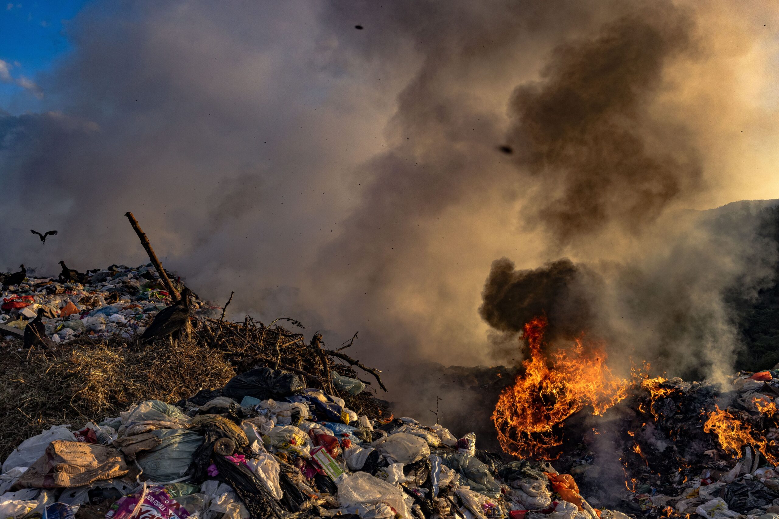 CV_Black_Carbon_Brazil_EDITORIAL_16