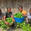 Farmers at Yangambi, Democratic Republic of Congo. Image by Axel Fassio/CIFOR via Flickr (CC BY-NC-ND 2.0)