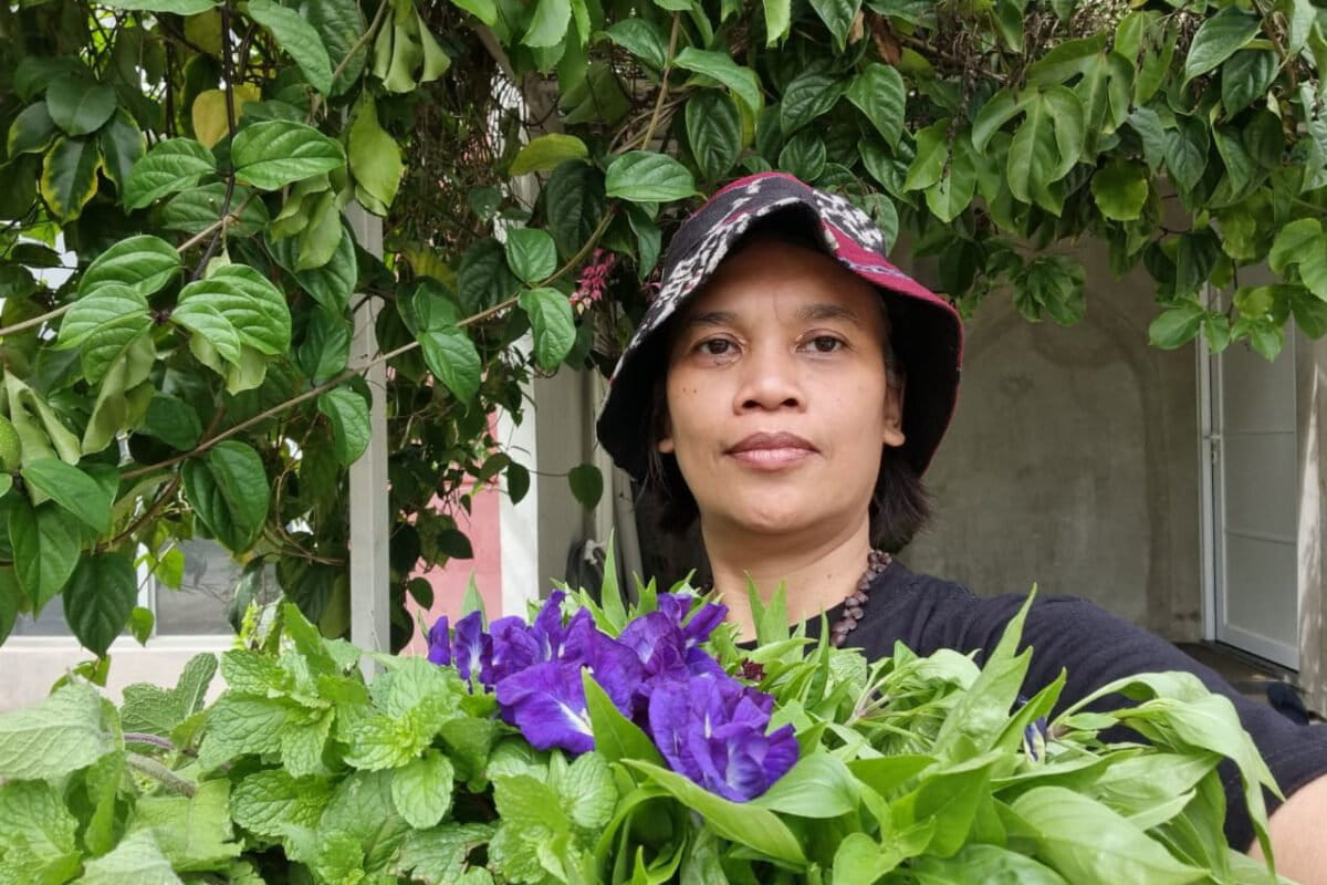 Sapariah Saturi harvesting vegetables in Java. Photo courtesy of Saturi.