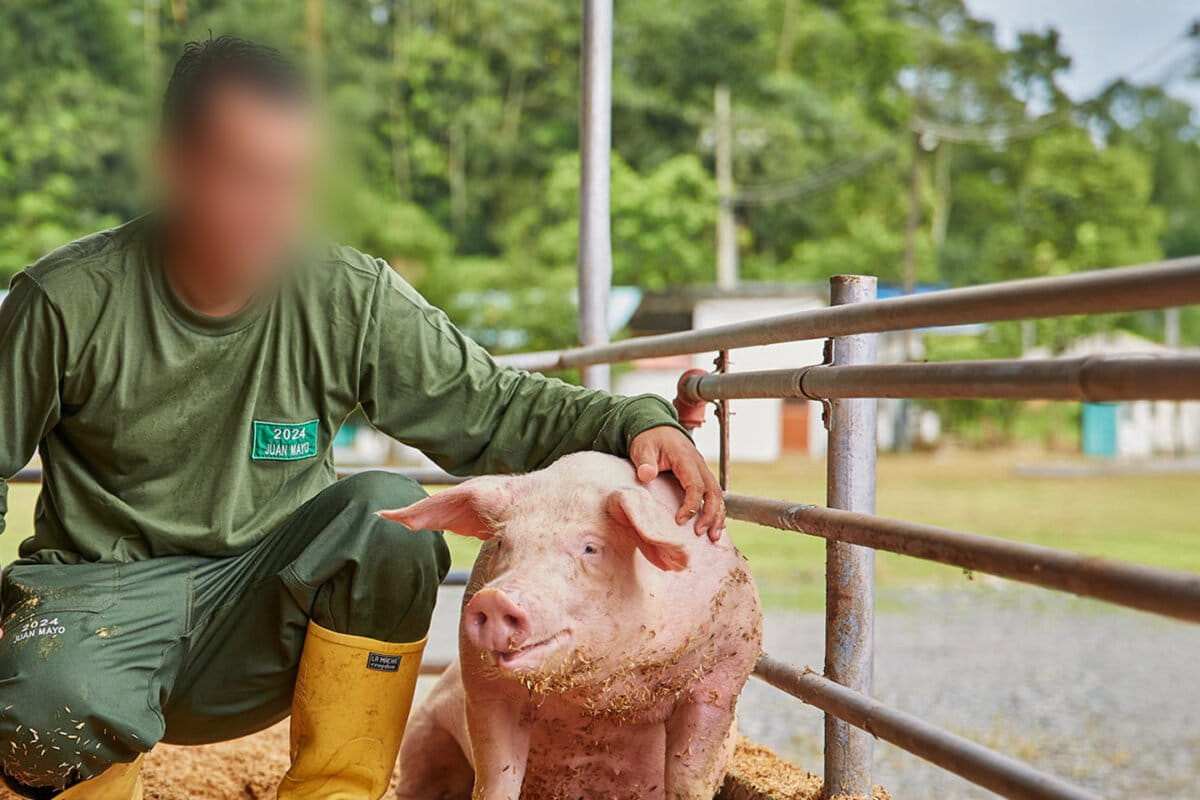 IDB financed meat & poultry company that polluted Indigenous Ecuador lands: Report