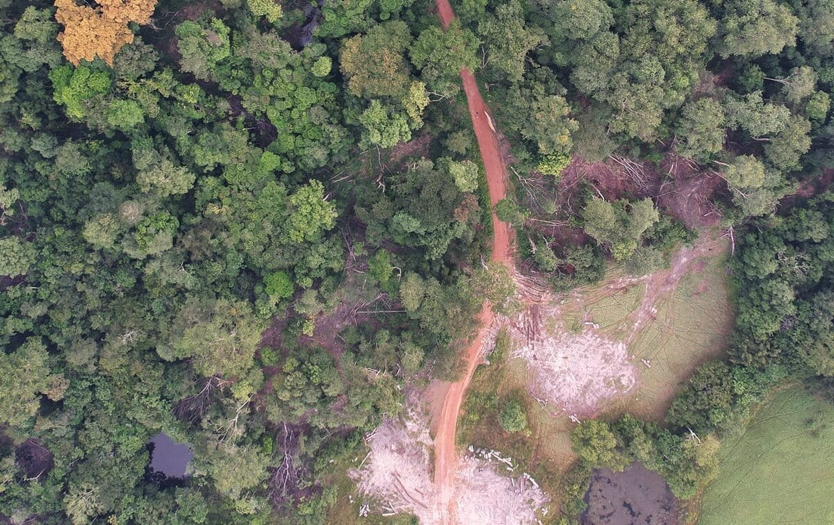 Logging concession near Ndolou, Gabon
