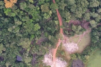 Logging concession near Ndolou, Gabon