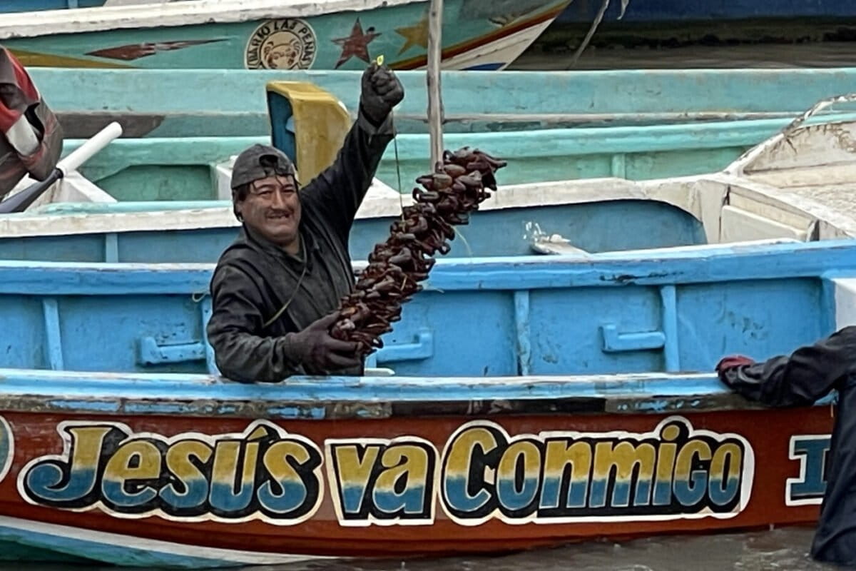 How community custody empowered Ecuador’s crab catchers and revived its mangroves