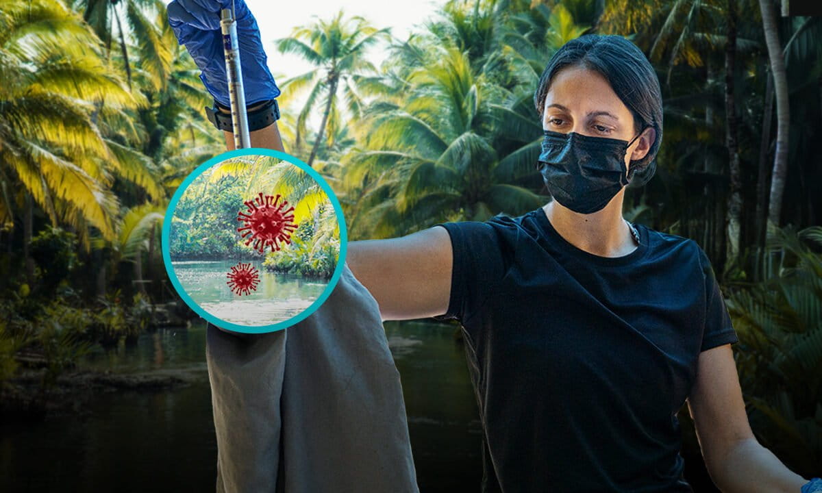 How do we stop the next pandemic?