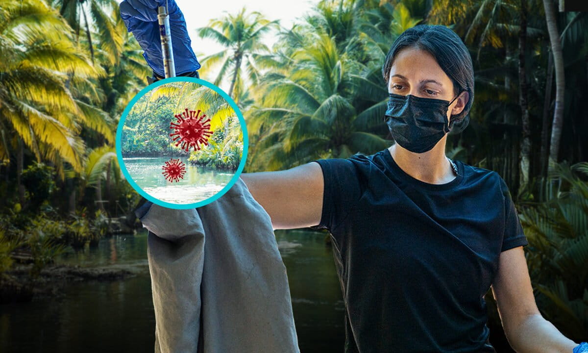 Collage: Elise Paietta, postdoctoral research scholar during fieldwork, with tropical forest