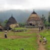 A Manggarai village in Flores.