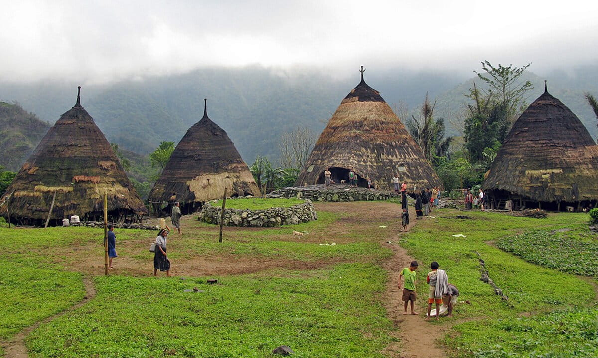 As agroforestry declines in Indonesia’s Flores, a traditional ecological lexicon fades with it