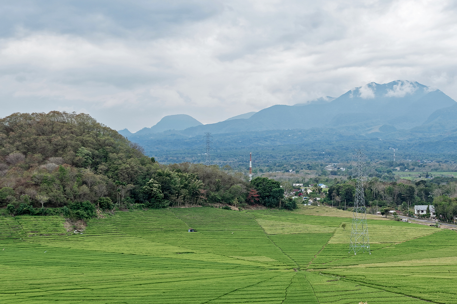 As agroforestry declines in Indonesia’s Flores, a traditional ecological lexicon fades with it – Mongabay