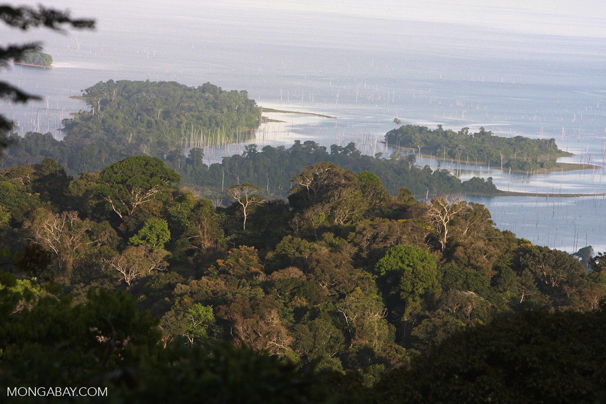 In Guyana and Suriname, offshore oil and environmental interests clash