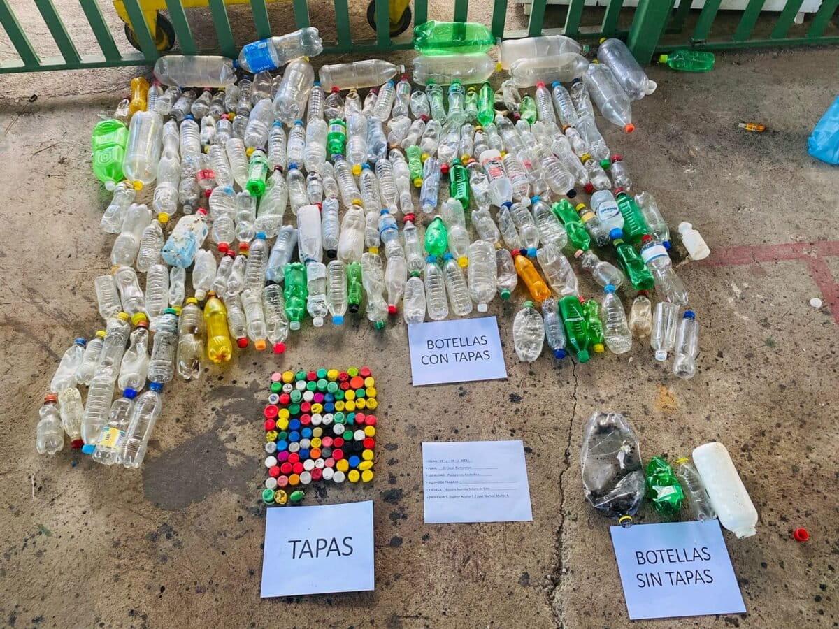Sorting of plastic bottles collected in Costa Rica for analysis. Photo by Juan Manuel Muñoz-Araya.