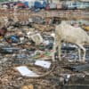 A child at work collecting e-waste in the Agbogbloshie dump in Ghana.
