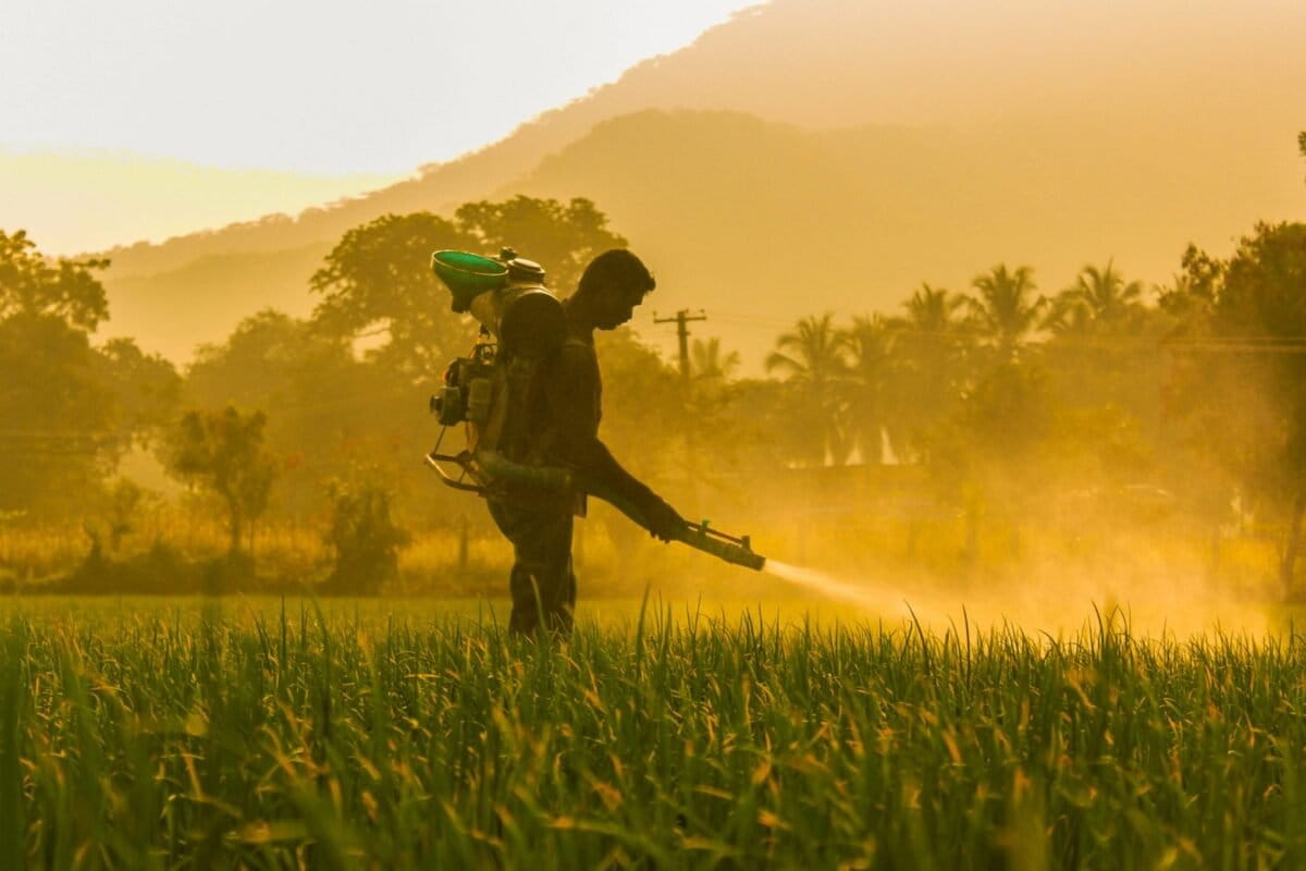 ‘Silent epidemic of chemical pollution’ demands radical regulatory redo, say scientists