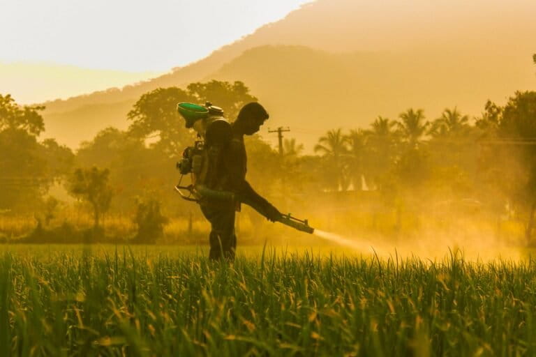 Spraying pesticides on a field. Chemical pesticides have become ubiquitous in industrial agriculture, and have contributed to a rapid rise in chronic diseases, researchers say.