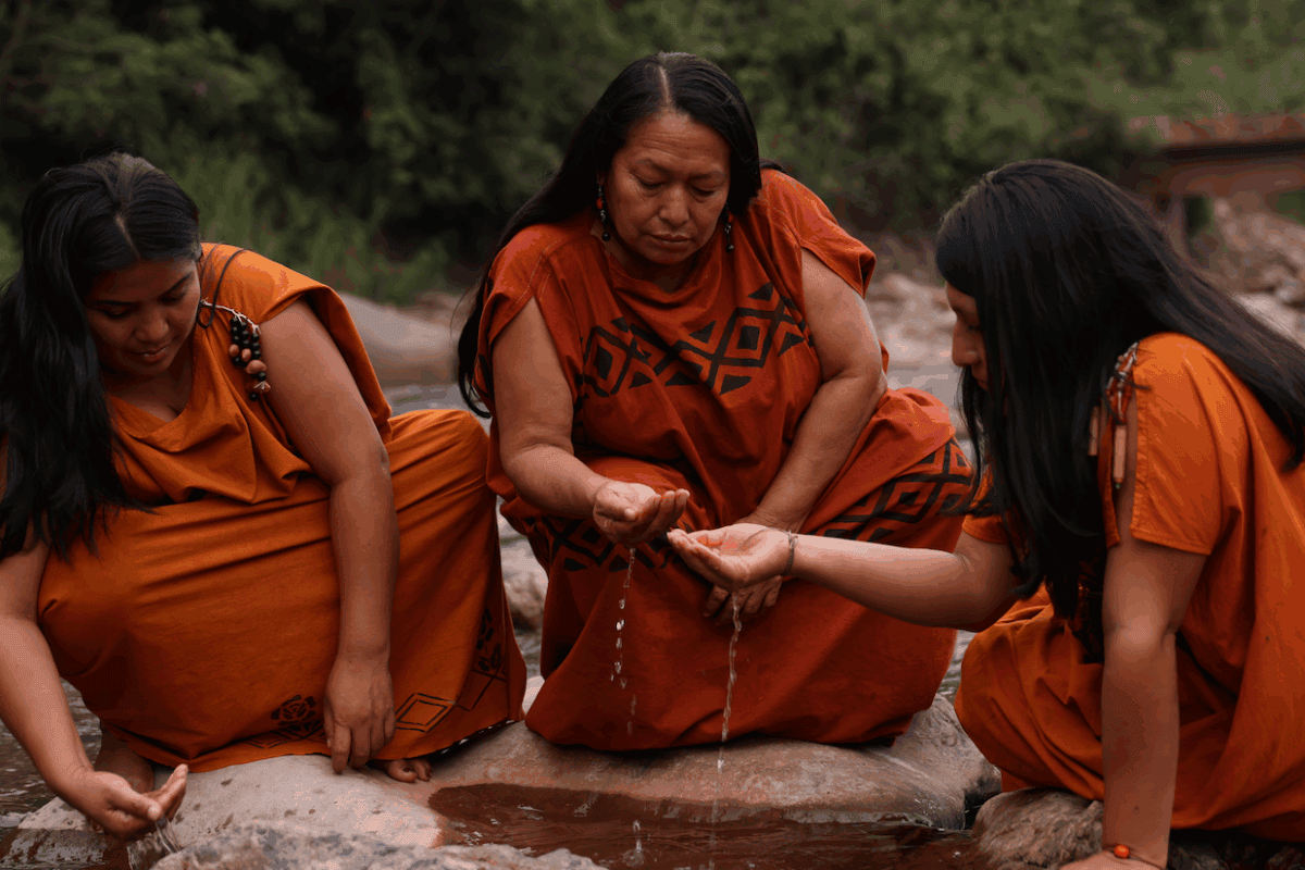 The Indigenous women changing the course of their communities