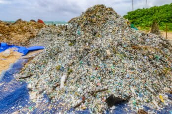 The resulting piles of plastic after beach clean-up volunteers sifted microplastics from water and sand in Kailua Bay, a few miles south Kāneʻohe Bay, Oʻahu. Image courtesy of: Ken G Kosada/Lethal Lens Photography.