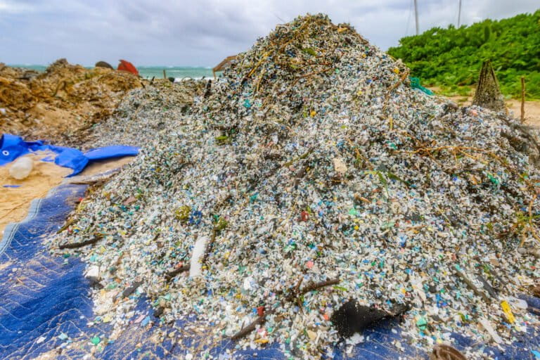 The resulting piles of plastic after beach clean-up volunteers sifted microplastics from water and sand in Kailua Bay, a few miles south Kāneʻohe Bay, Oʻahu. Image courtesy of: Ken G Kosada/Lethal Lens Photography.