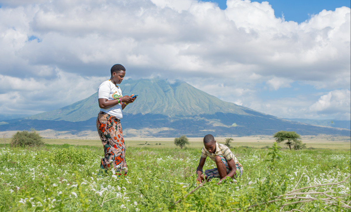 Rangeland monitors at work. Photo by Emmily Tunuka- APW
