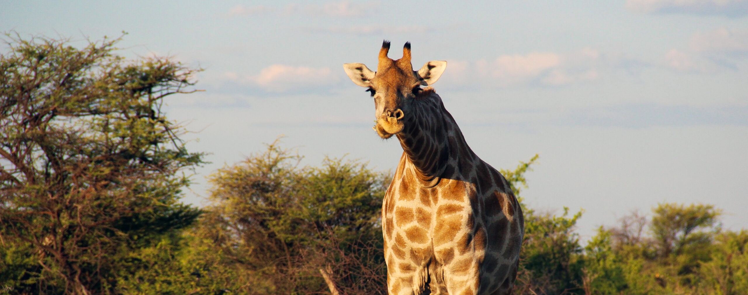 Despite a growing planetary crisis, leaders find hope in community efforts