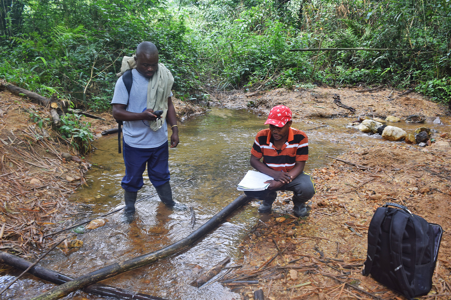 1-Million-Hektar Wildkorridor im Kongo nimmt Form an 1-Million-Hektar Wildkorridor im Kongo nimmt Form an