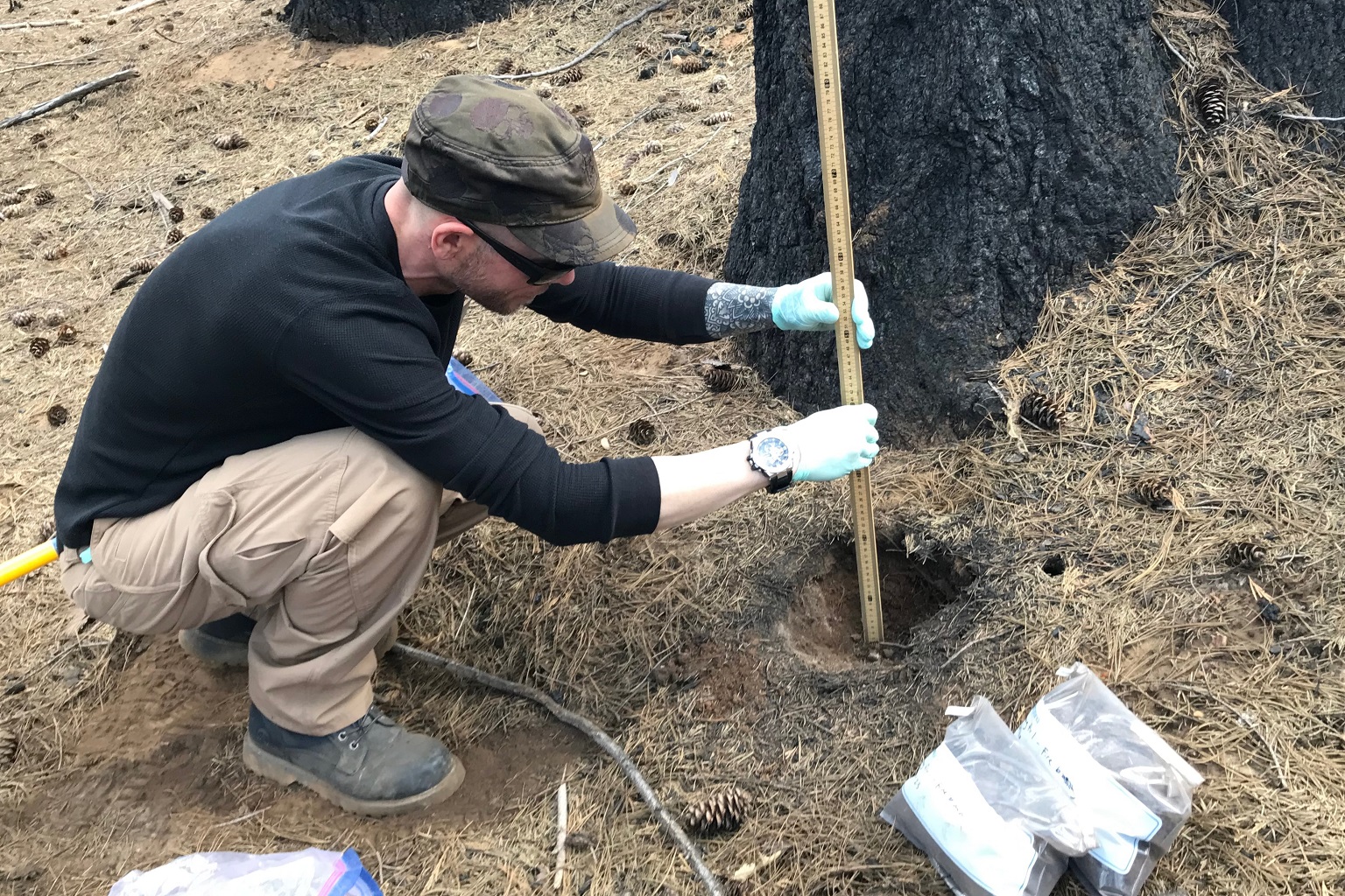 Dustin Lower taking burned soil samples for use as a fungal “inoculum” –– an infusion of fungi species. It's hoped these could aid in forest restoration post-fire.