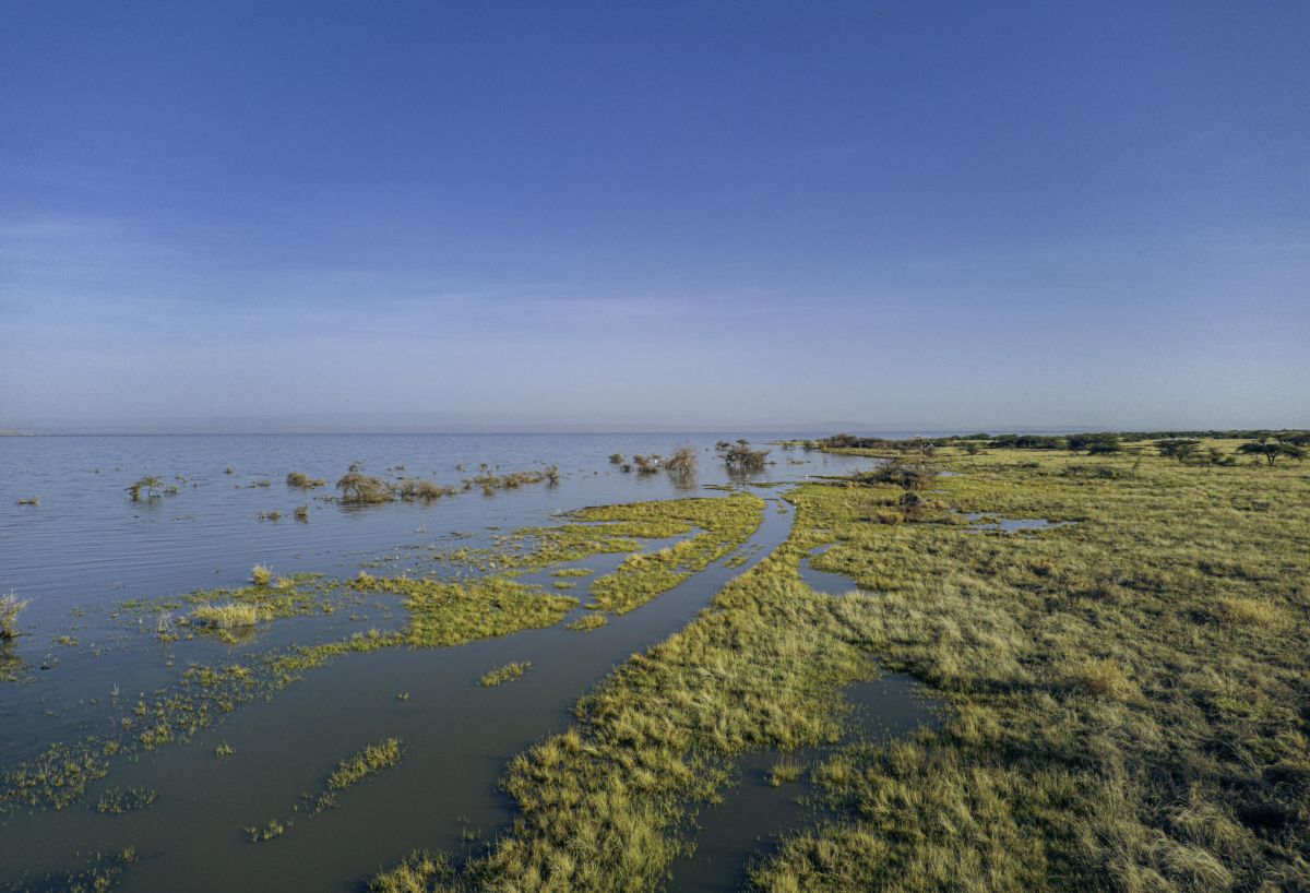 Shoreline of Lake Abijatta. Image courtesy of Berihun Tadele.