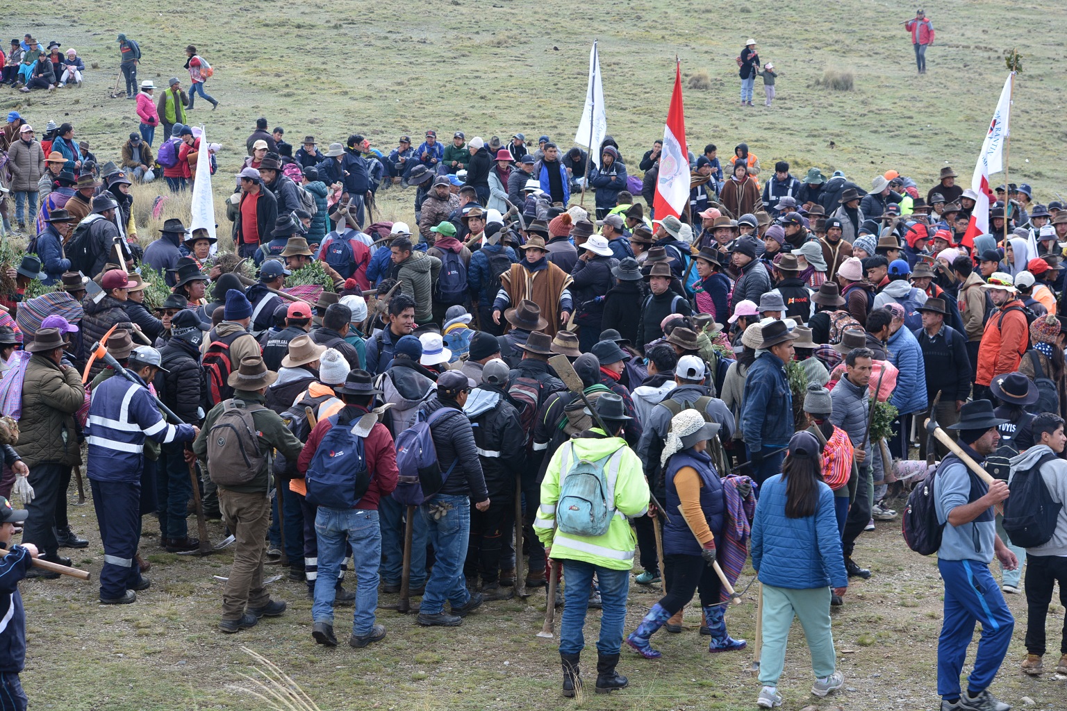 ECOAN, a Peruvian non-profit, has been working in Acquia since about 2021, under the Accion Andina initiative to restore polylepis forests across the Andes. On December 7 2024, communities in Acquia planted 150,000 native trees in a single day. The event was entirely volunteer-led and accompanied by much singing, dancing and rejoicing, says Constantino Aucca, president and co-founder of Accion Andina.