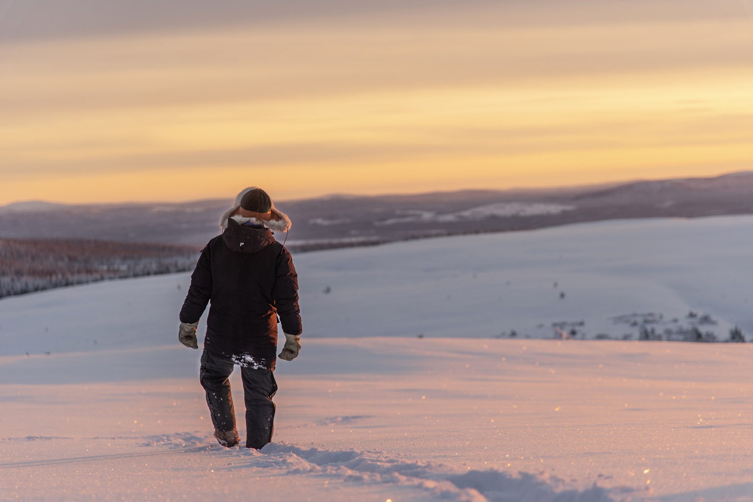 Reindeer herder Niila Inga from the Laevas Sami community walks across the snow near Kiruna, Sweden, where a government-owned iron ore mining company says it has identified “significant deposits” of rare earth that are essential for the manufacture of electric vehicles and wind turbines.