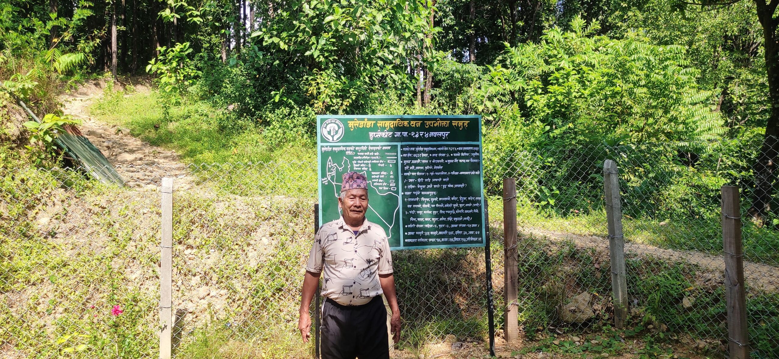 forest regeneration Nepal
