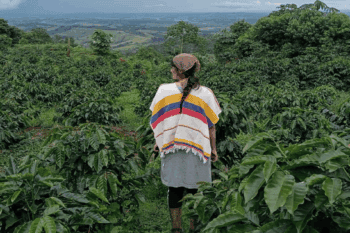A woman stands among coffee bushes in Colombia. Image courtesy of Juliana Cajiao Raigosa.