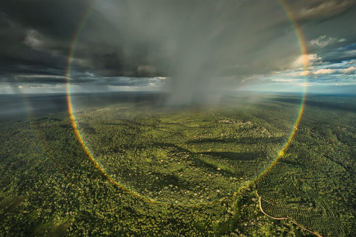 2025: A year of consequence for Mongabay’s journalism