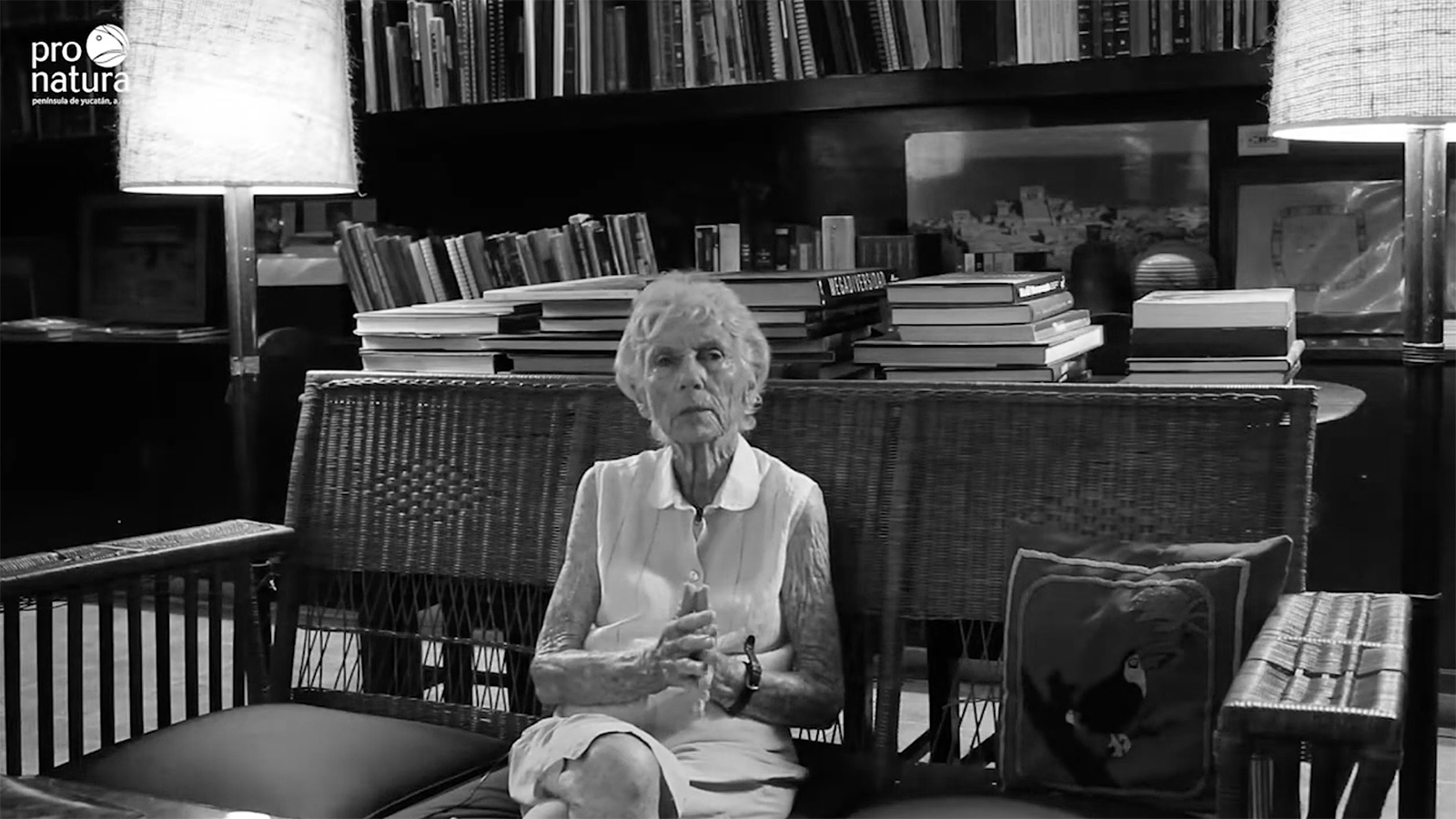 Joann Andrews, a patient force behind Yucatán’s protected landscapes