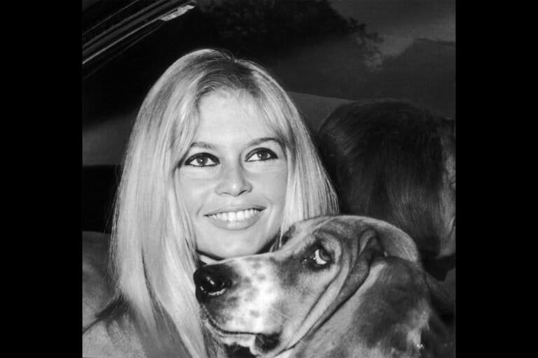 brigitte-bardot-getty-768x512.jpg
