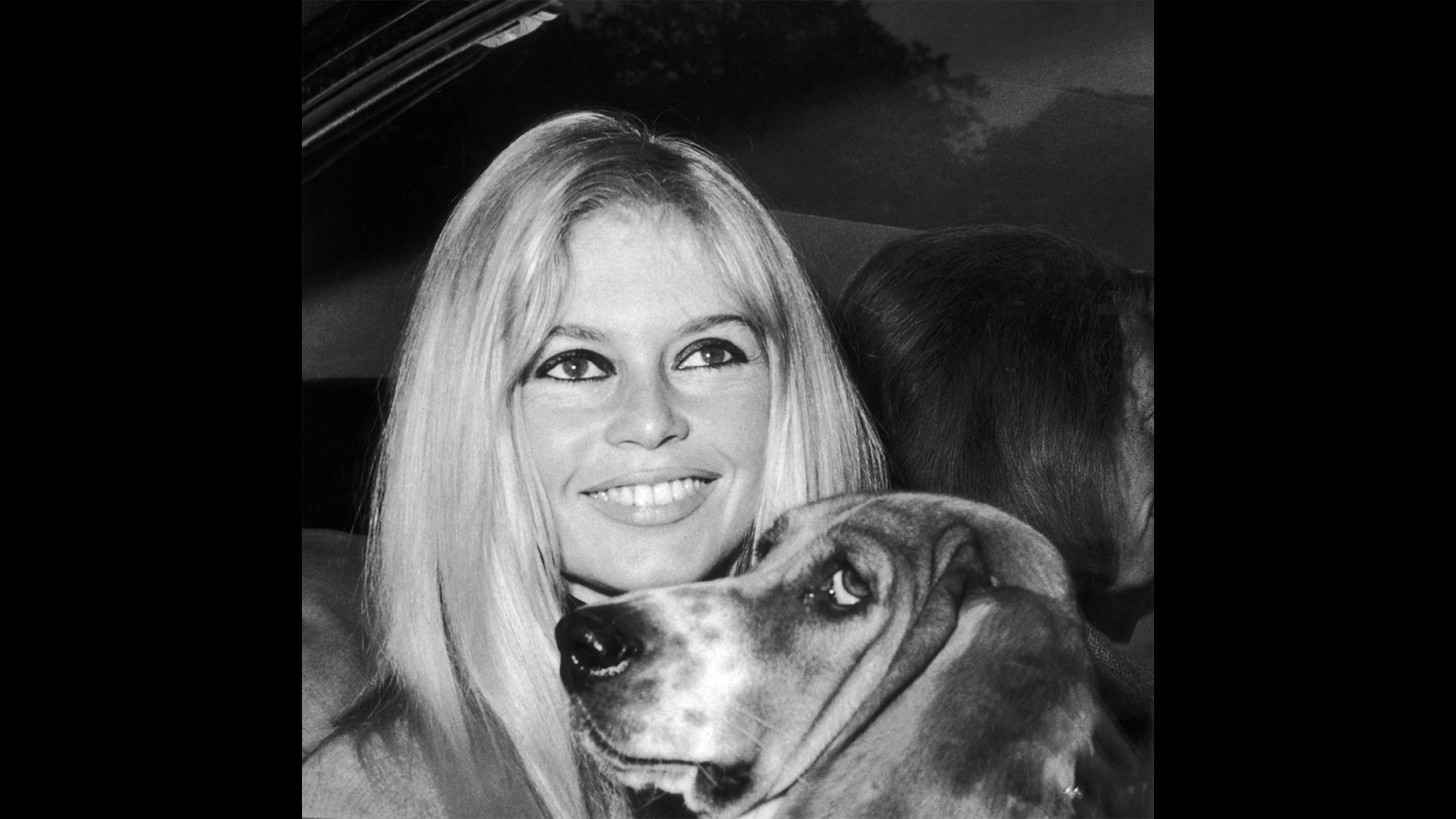 Brigitte Bardot, who turned fame into a lifelong fight for animals