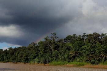 Rainbow over the Borneo rainforest -- sabah_3512