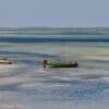 Mida Creek, Watamu, Kenya. Image by Delphinidaesy via Flickr (CC BY-NC 2.0).