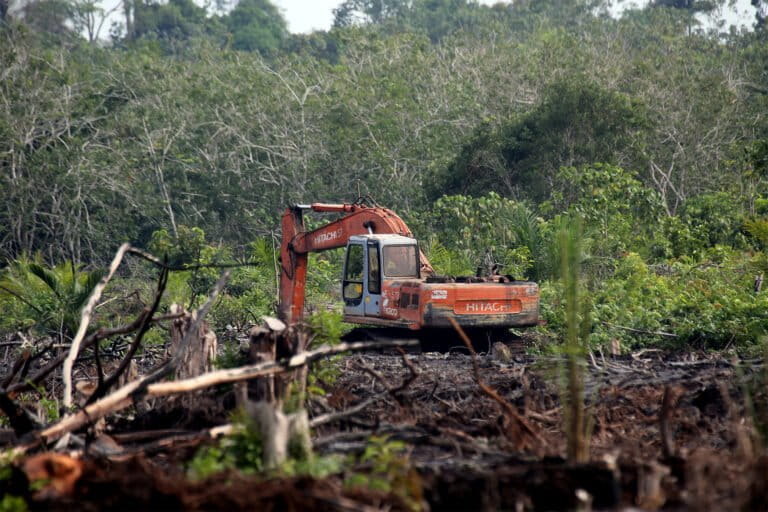 Tropical peatland clearance in Riau, Indonesia. Image by Rhett A. Butler/Mongabay.